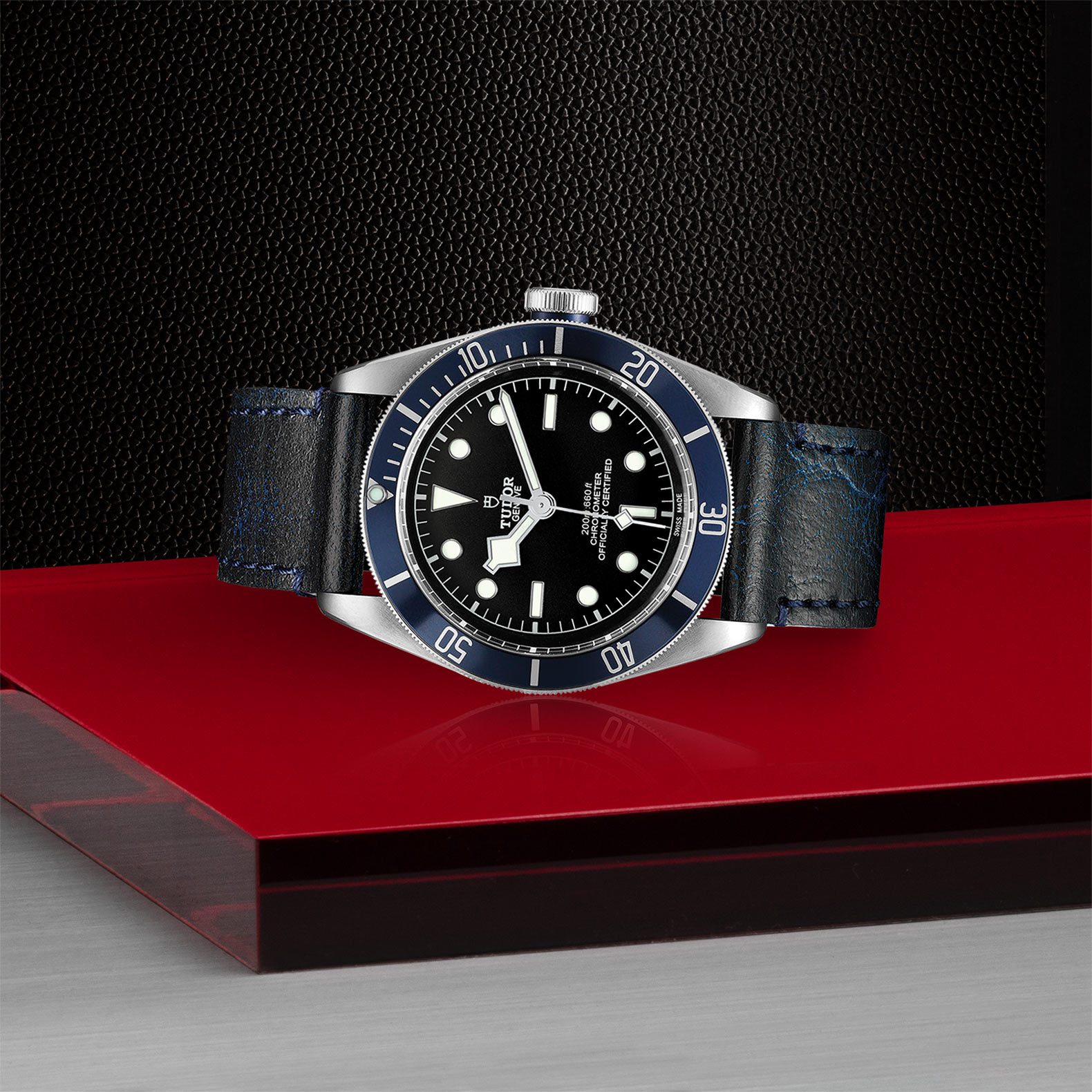 Black Bay Automatic 41mm Watch Black Bay Automatic 41mm Watch