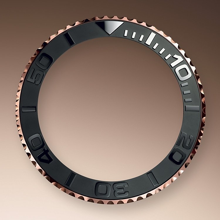 Bidirectional Rotatable Bezel