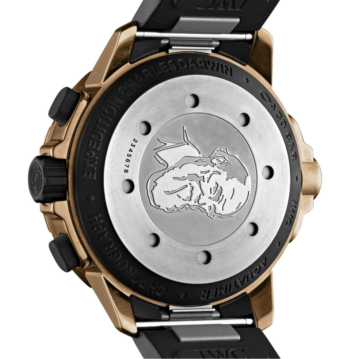 Aquatimer Chronograph Edition “Darwin” 44mm Watch