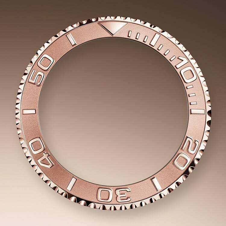 Bidirectional Rotatable Bezel