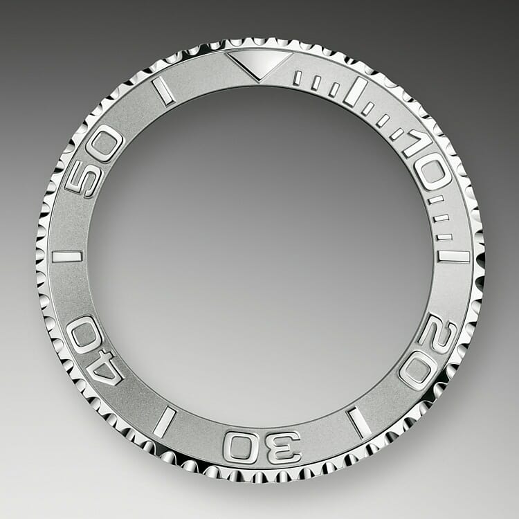 Bidirectional Rotatable Bezel