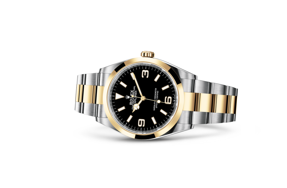 Explorer Explorer