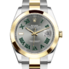 Datejust 41 Datejust 41